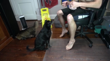 Sydaffect  19-12-2021 video dirtytalk